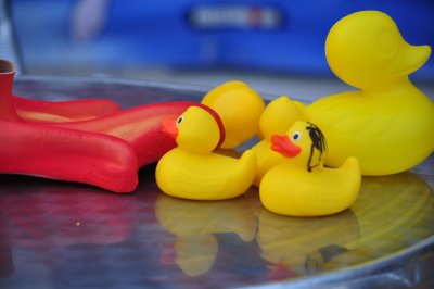 A selection of yellow plastic ducks on a metal table.