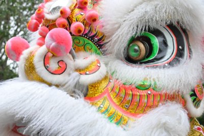 The head of Chinese lion costume