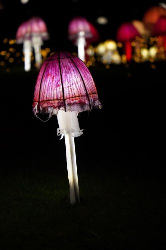 Glowing toadstool lantern