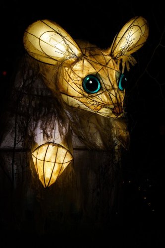 Glowing dormouse lantern