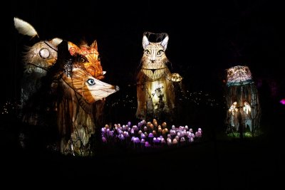 Glowing animal lanterns in a group
