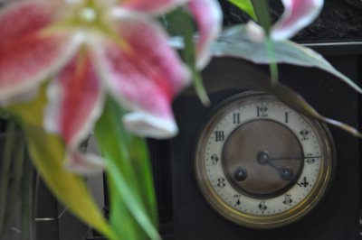 Flower and Clock